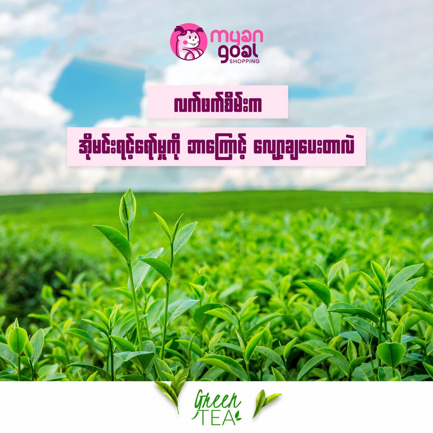 လက်ဖက်စိမ်းက အိုမင်းရင့်ရော်မှုကို ဘာကြောင့် လျော့ချပေးတာလဲ ?