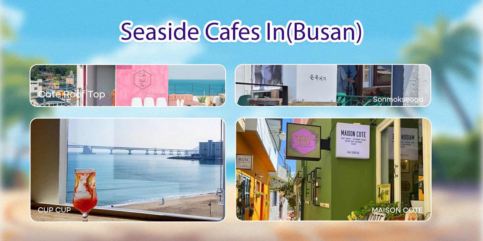 part 2 / Seaside Cafes In Busan