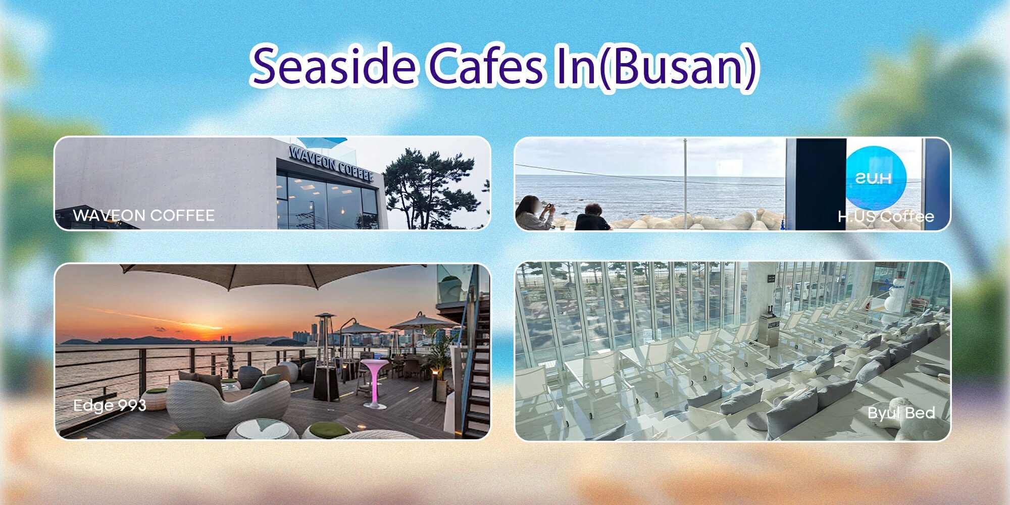 Seaside Cafes In Busan